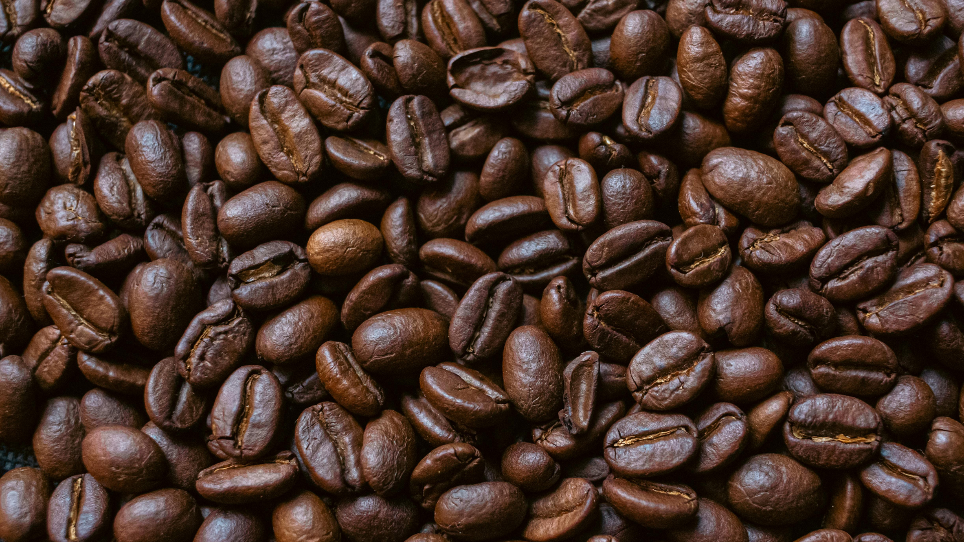 Filter Coffee Wholebean Bag